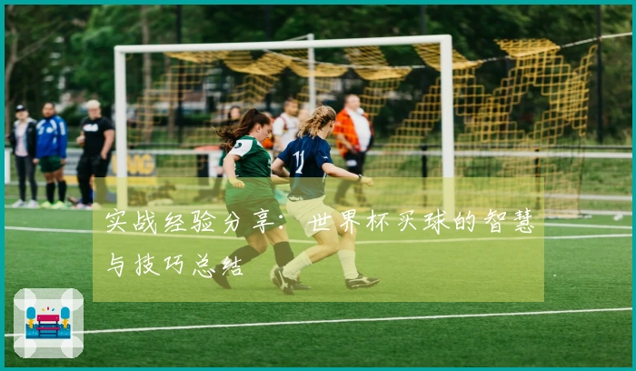 实战经验分享：世界杯买球的智慧与技巧总结