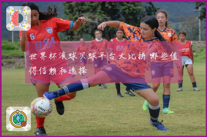 世界杯滚球买球平台大比拼 哪些值得信赖和选择
