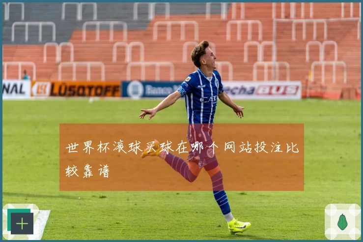世界杯滚球买球在哪个网站投注比较靠谱