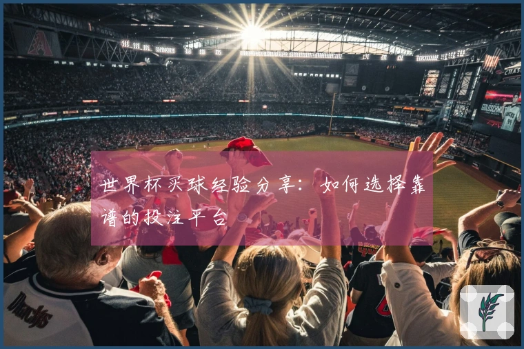世界杯买球经验分享：如何选择靠谱的投注平台