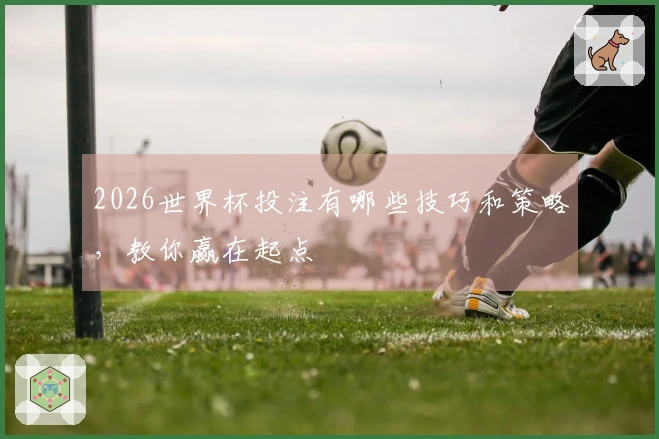 2026世界杯投注有哪些技巧和策略，教你赢在起点