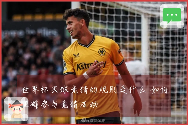 世界杯买球竞猜的规则是什么 如何正确参与竞猜活动