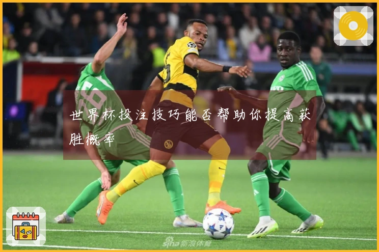 世界杯投注技巧能否帮助你提高获胜概率