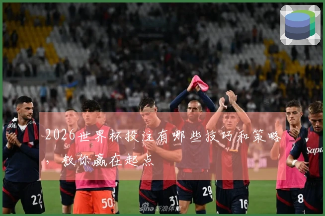 2026世界杯投注有哪些技巧和策略，教你赢在起点