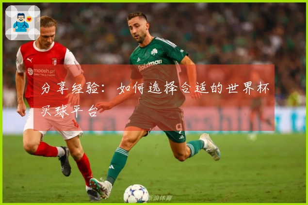 分享经验:如何选择合适的世界杯买球平台